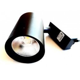 Noas Paris 30 Watt LED Ray Spot Siyah Kasa (Günışığı Renk 1 Yıl Garantili)