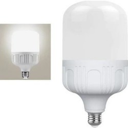 Torch 60 Watt Led Ampul 6400 Kelvin Beyaz Renk (1 Yıl Garanti)